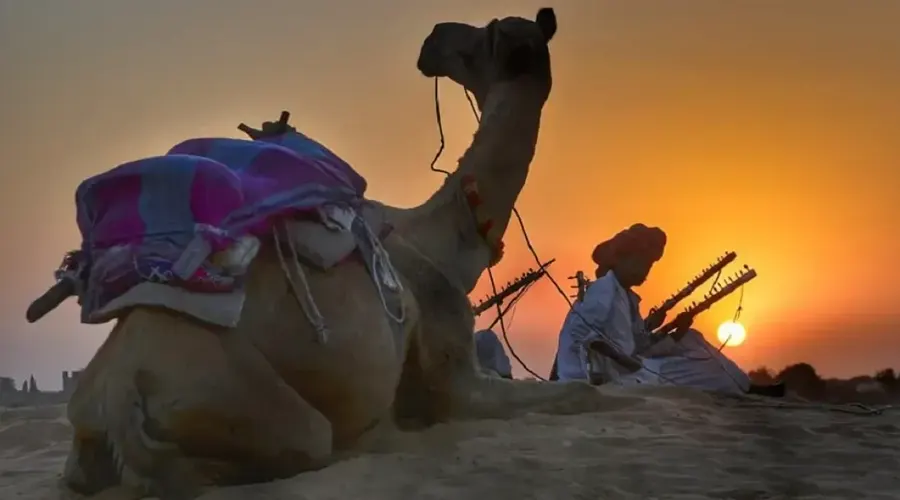 Camel Safari In Rajasthan 